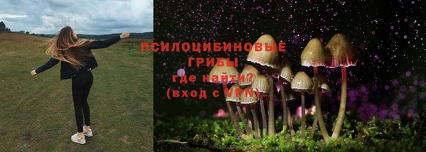 ECSTASY Абдулино