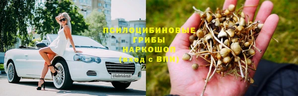 трава Абинск